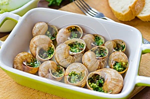 Bourgogne snails