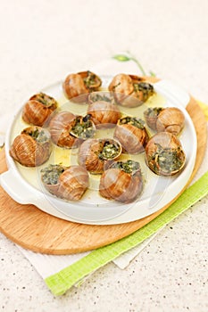 Bourguignonne snail