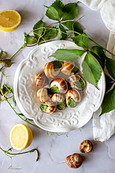 Bourguignonne snail with lemon. Marble background. French cuisine