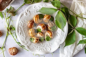 Bourguignonne snail with lemon. Marble background. French cuisine