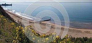 Bournemouth Beach and Pier from Cliff photo