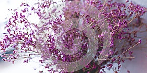 Boutique purple dried flower in the vase for home decoration