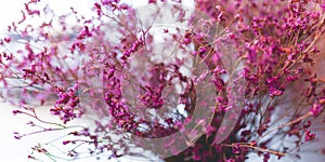 Boutique purple dried flower in the vase for home decoration