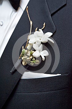 Boutonniere, flower