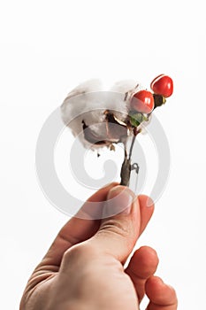 The boutonniere in the hand