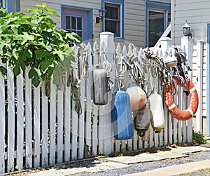 Bouys on white picket fence photo