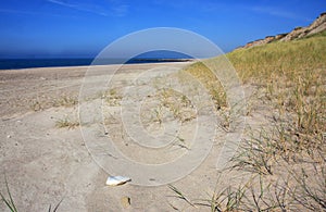 Bovbjerg Klint sand dunes