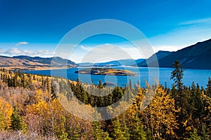 Bove Island in Tagish Lake near Carcross YT Canada