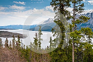 Bove Island and Tagish Lake in Yukon, Canada