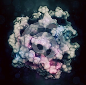 Bovine beta-lactoglobulin protein, 3D structure. Major whey protein, present in cow milk. Important food allergen. Cartoon