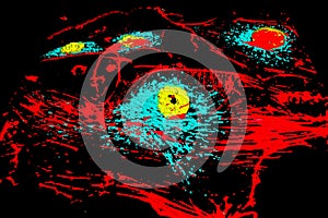 Bovine pulmonary arthery cells