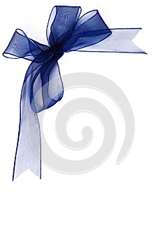 Blue gauzy bow isolated on white background