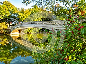 Bow Bridge,  Central Park, in early autumnow bridge photo