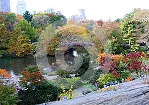 Bow Bridge- Central Park. Manhattan, NY