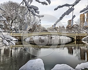 Bow bridge,Central Park, New York Cit