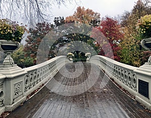 Bow bridge,Central Park, New York Cit