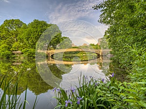 Bow bridge,Central Park, New York Cit