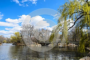 Bow bridge, central park, New York City photo