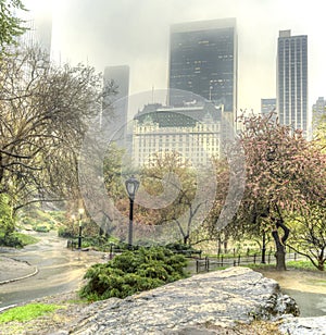 Bow bridge Central Park, New York City