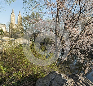 Bow bridge Central Park, New York City photo
