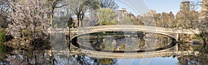 Bow bridge Central Park, New York City photo