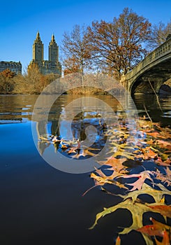 Bow Bridge in Central Park, New York in fall with Manhattan buildings in background and fallen leaves in the foreground