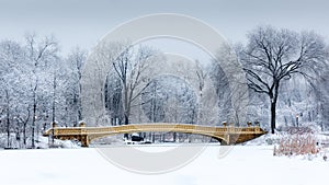 Bow Bridge in Central Park, NYC