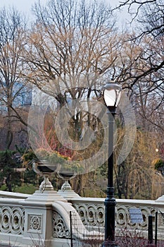 Bow Bridge Central Park in Winter photo