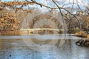 A Bow Bridge Over a Lake in Central Park. Beautiful Natural Environment Scenery in Manhattan, New York City