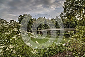 Bow bridge in summer