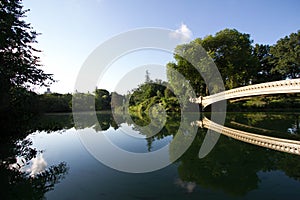 Bow bridge, trees and blue sky reflect on calming lake at Central Park