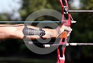 Bow hunter hands holding compound bow