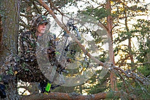 Bow hunter in tree