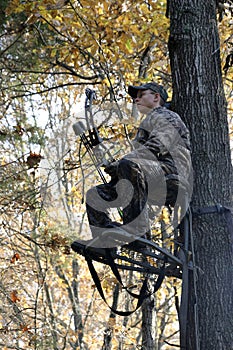 Bow Hunter Waiting in Tree Stand