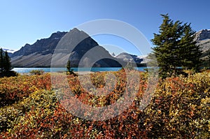 Bow Lake in autumn,Canadian Rockies,Canada