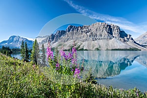 Bow lake, Banff National Park, Alberta, Canada