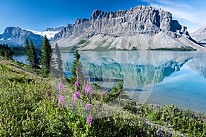 Bow lake, Banff National Park, Alberta, Canada