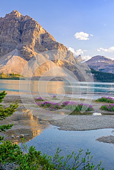 Bow Lake, Banff National Park and Jasper National Park, Canada