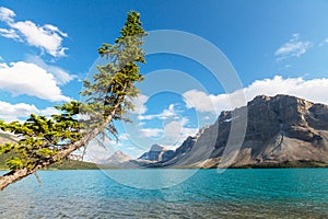 Bow lake