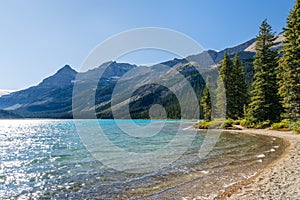 Bow Lake lakeshore in summer sunny day. Bow Glacier, Banff National Park