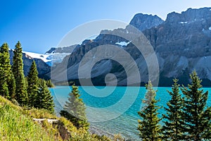 Bow Lake lakeshore in summer sunny day. Bow Glacier, Banff National Park