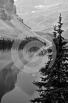 Bow Lake Reflection Banff National Park