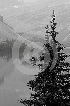 Bow Lake Reflection Banff National Park