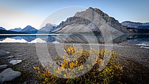 Bow Lake Reflection in Colour