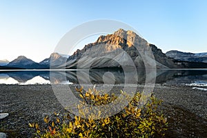 Bow Lake Reflection in Colour