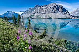 Bow lake, Banff National Park, Alberta, Canada photo