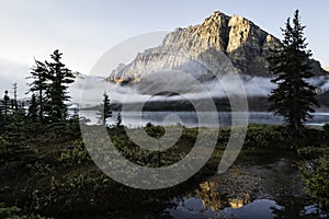 Bow Lake under fog