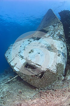 Bow of a large underwater shipwreck