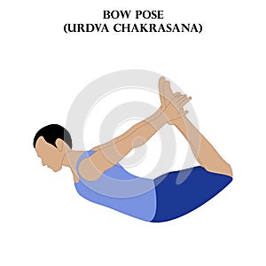 Bow pose yoga workout. Urdva Chakrasana. Man doing yoga illustration