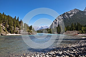 Bow River - Banff National Park